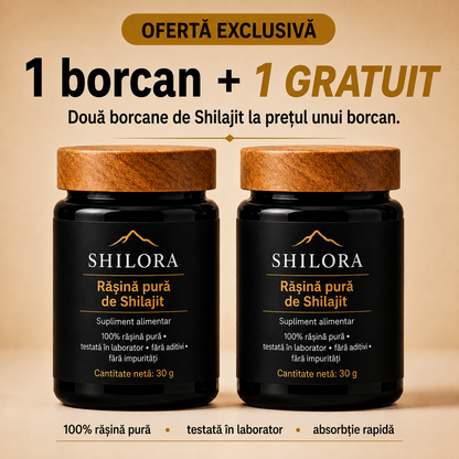 Rășină din silajit pur din Himalaya – Shilora®